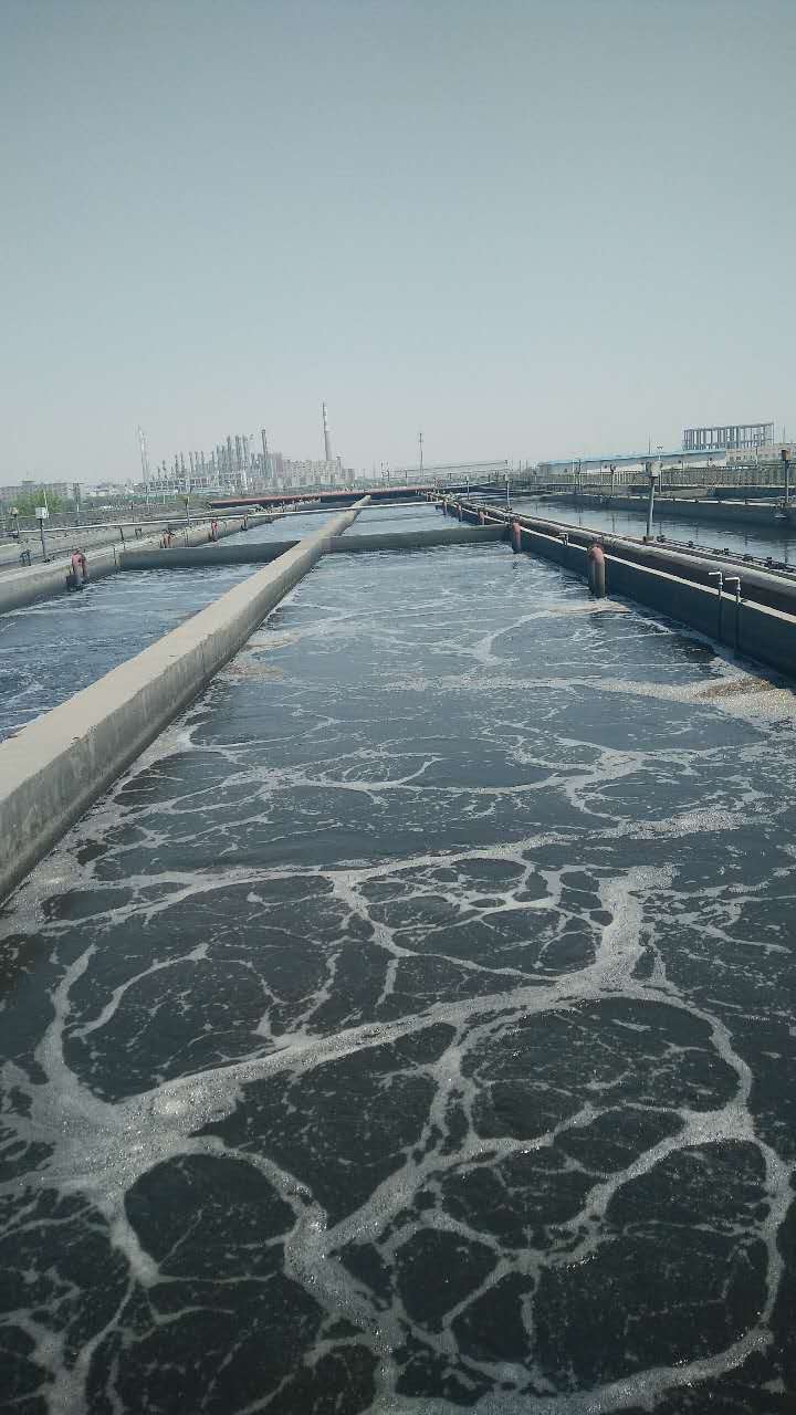 ��(n��i)�ɰ����������ؚ��ˮ̎���(xi��ng)Ŀ